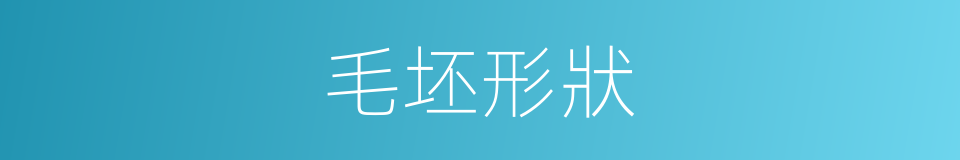 毛坯形狀的同義詞