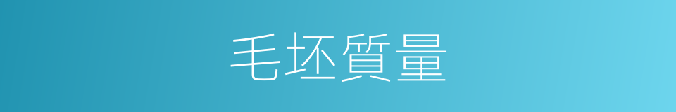 毛坯質量的同義詞