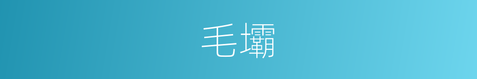 毛壩的同義詞