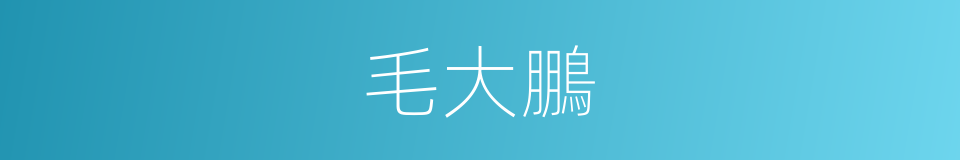 毛大鵬的同義詞