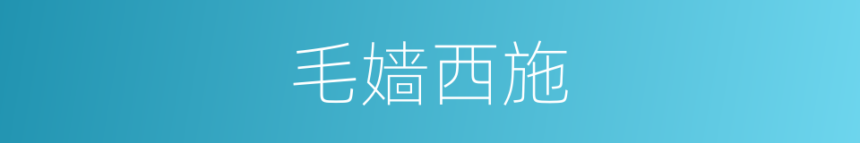 毛嫱西施的同义词