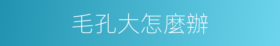 毛孔大怎麼辦的同義詞