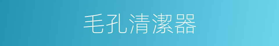 毛孔清潔器的同義詞