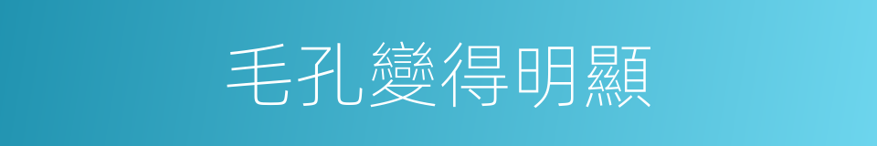 毛孔變得明顯的同義詞