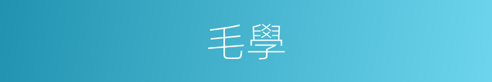 毛學的同義詞