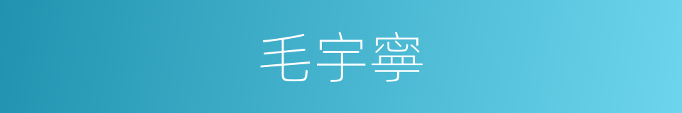 毛宇寧的同義詞