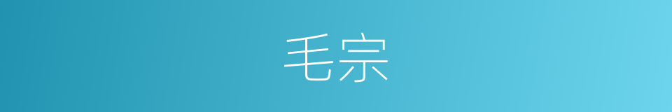 毛宗的意思