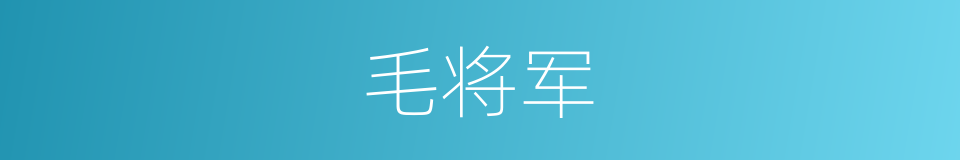 毛将军的同义词