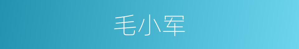 毛小军的同义词