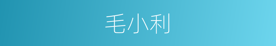 毛小利的同义词