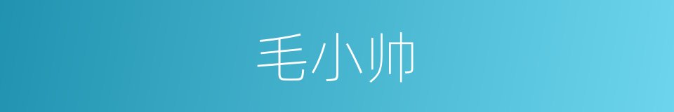 毛小帅的同义词
