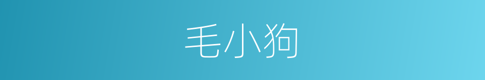 毛小狗的同义词