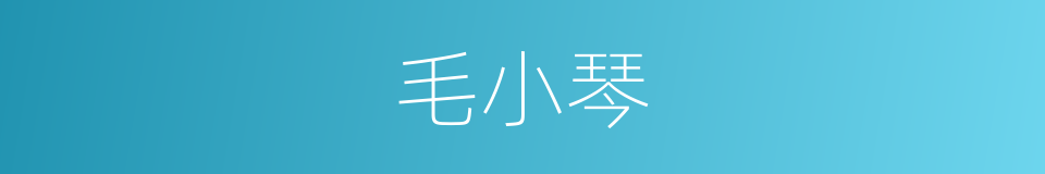 毛小琴的同义词