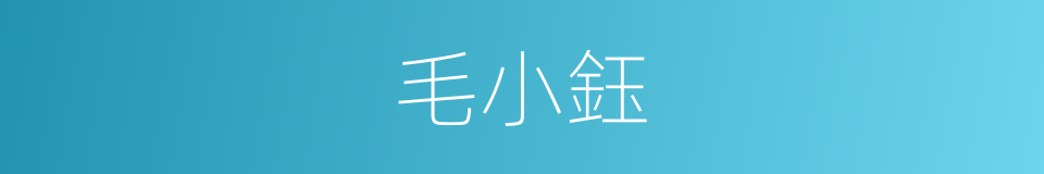毛小鈺的同義詞