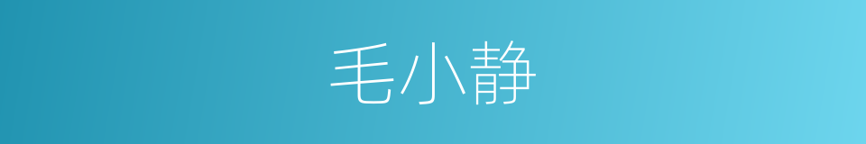 毛小静的同义词
