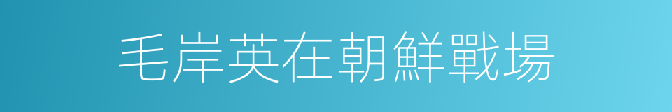 毛岸英在朝鮮戰場的同義詞