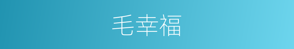 毛幸福的同义词