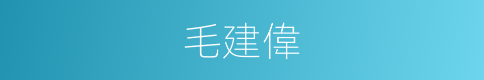 毛建偉的同義詞