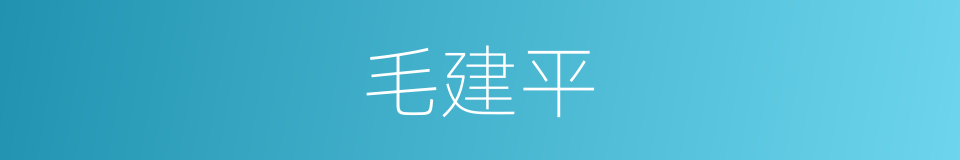 毛建平的同义词