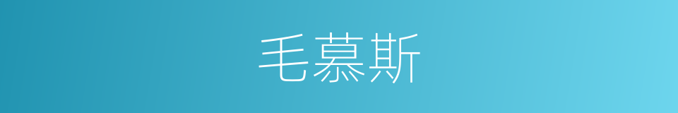 毛慕斯的同义词
