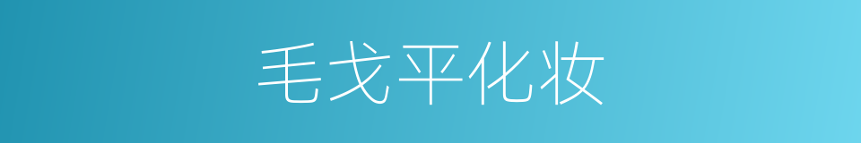 毛戈平化妆的同义词