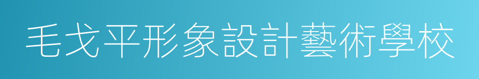 毛戈平形象設計藝術學校的同義詞