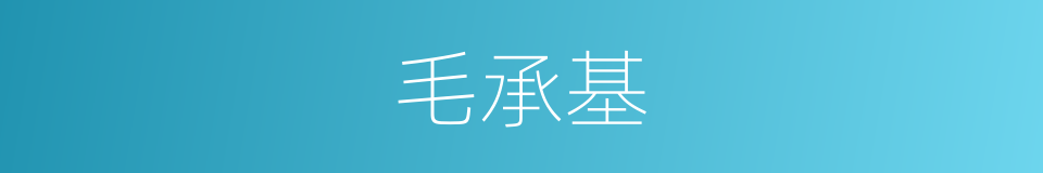 毛承基的同义词