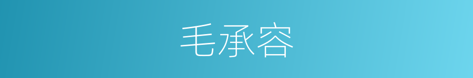 毛承容的同义词