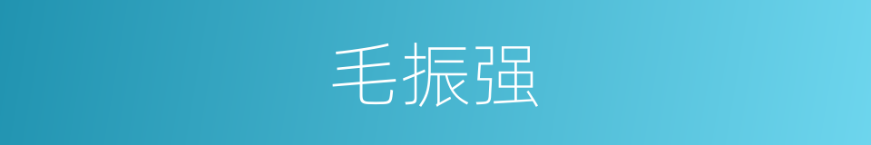 毛振强的同义词