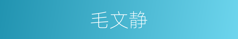 毛文静的同义词