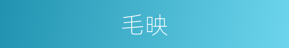 毛映的同义词