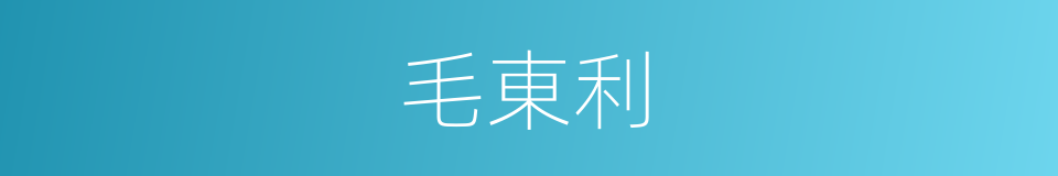 毛東利的同義詞