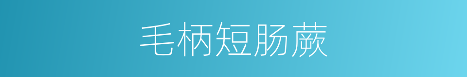 毛柄短肠蕨的同义词