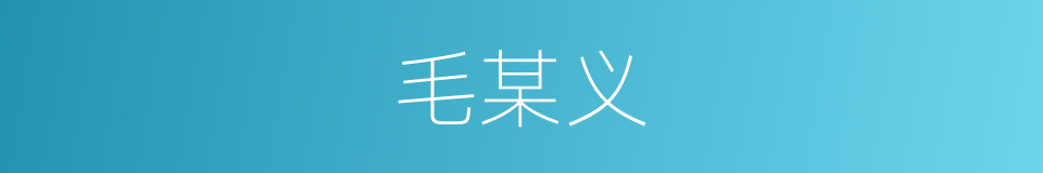 毛某义的同义词