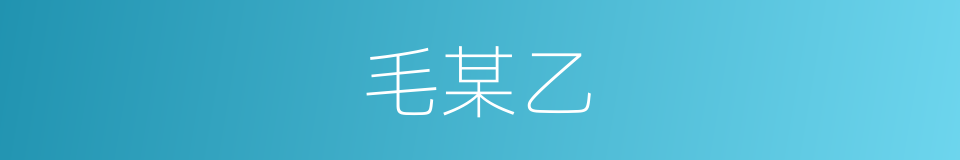 毛某乙的同义词
