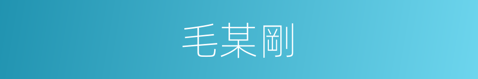 毛某剛的同義詞