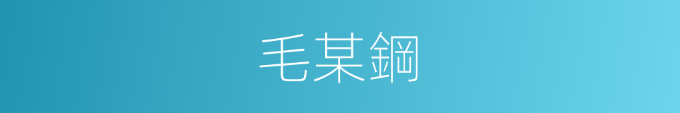 毛某鋼的同義詞