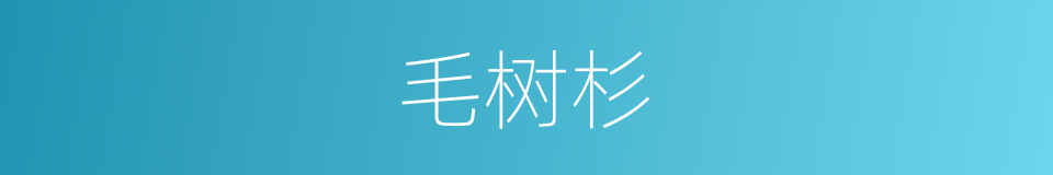 毛树杉的同义词