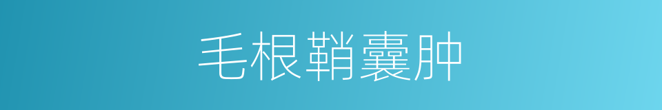 毛根鞘囊肿的同义词