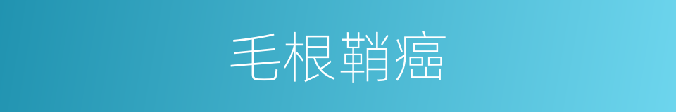 毛根鞘癌的同义词