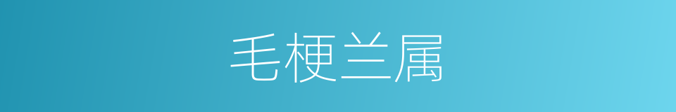 毛梗兰属的同义词