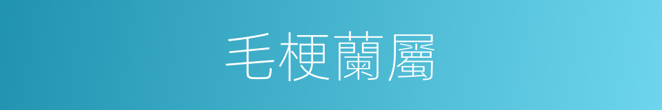 毛梗蘭屬的同義詞