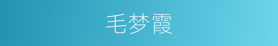毛梦霞的同义词