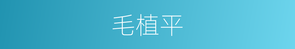毛植平的同义词