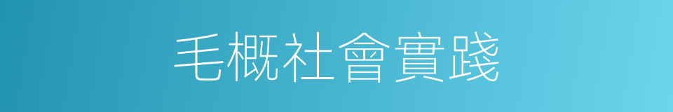 毛概社會實踐的同義詞