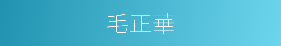 毛正華的同義詞