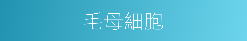 毛母細胞的同義詞