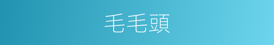 毛毛頭的同義詞