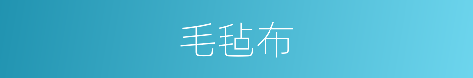 毛毡布的同义词