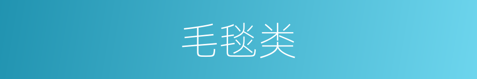 毛毯类的同义词